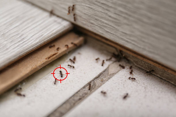 Auburn, KS Pest Control Company